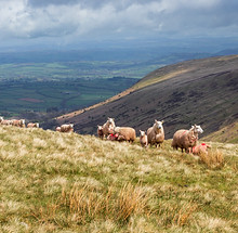 Brecon Beacons National Park