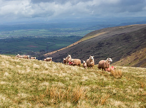 Brecon Beacons National Park