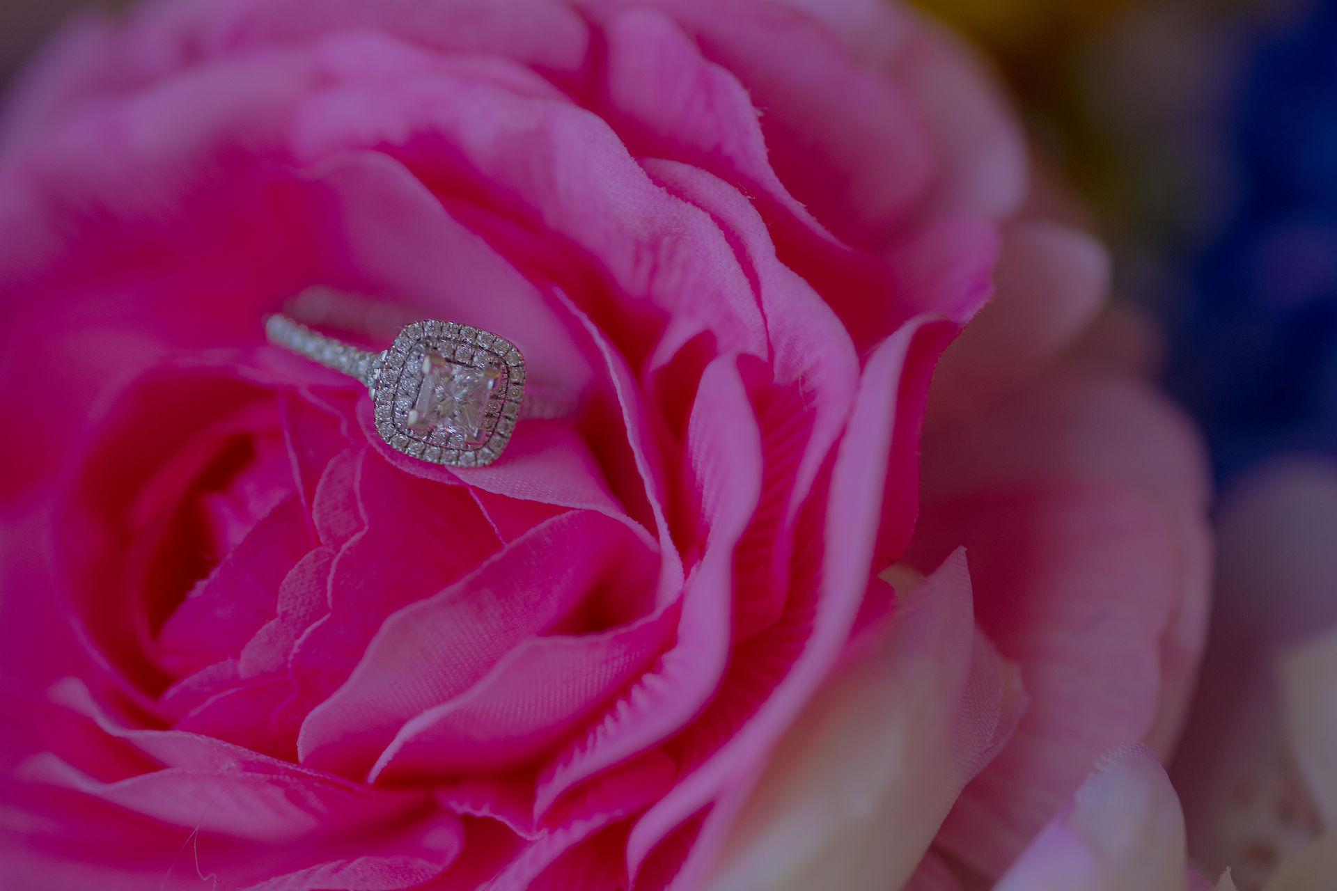 Engagement Ring