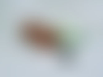 その匂いに感動しました。