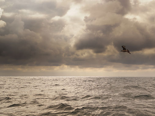 Weathering the storms of life