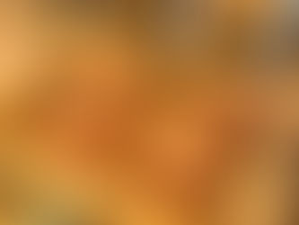 沖縄では一足早い桜🌸の季節です