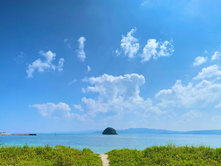 今年も沖縄に夏が本格的にやって来ましたね!