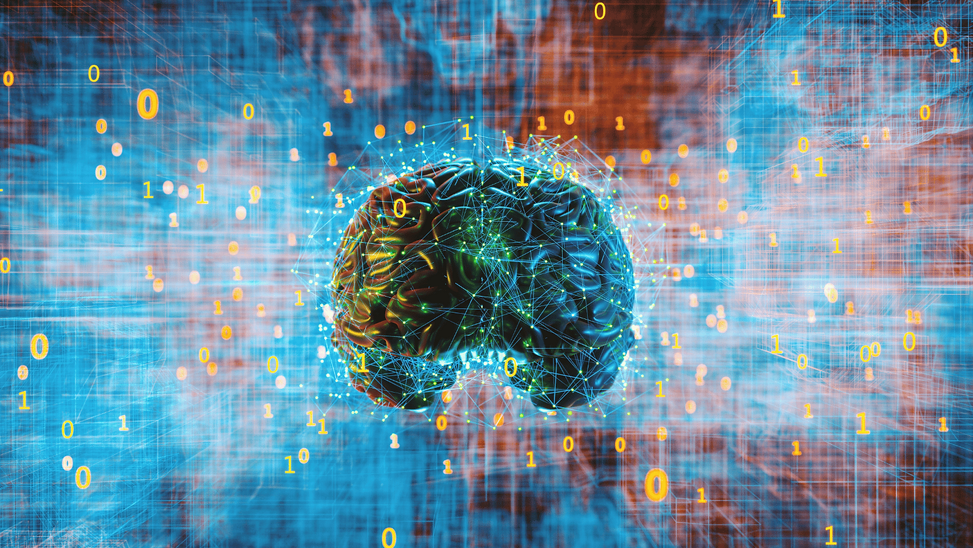 neural pathways 2.png