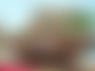 MICROPLÁSTICOS: EL PAN DE CADA DÍA EN EL MAR