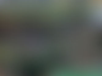 SE HICIERON ¡%*#$ LOS NEGROS DE CASANOVA