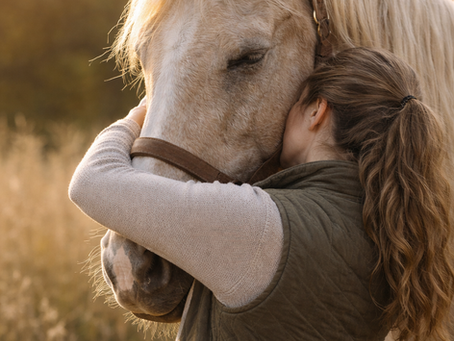 Mon cheval ressent-il mes émotions ?