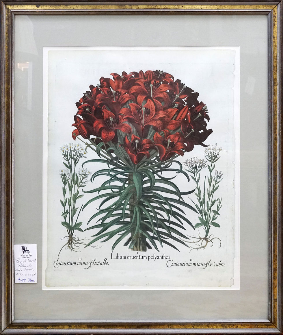 Thumbnail: Pair of Framed Botanicals- Red & Cream 25 1/2" x 30 1/2" $149.00