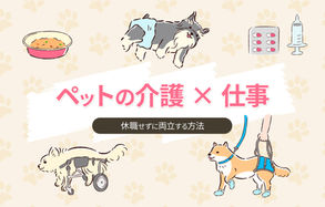 ペット介護で仕事は休める?老犬の介護と休職せずに両立する5つの秘策