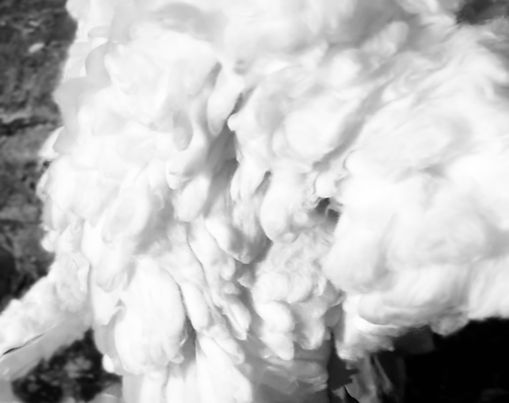 White Project: Hell Hound Dress