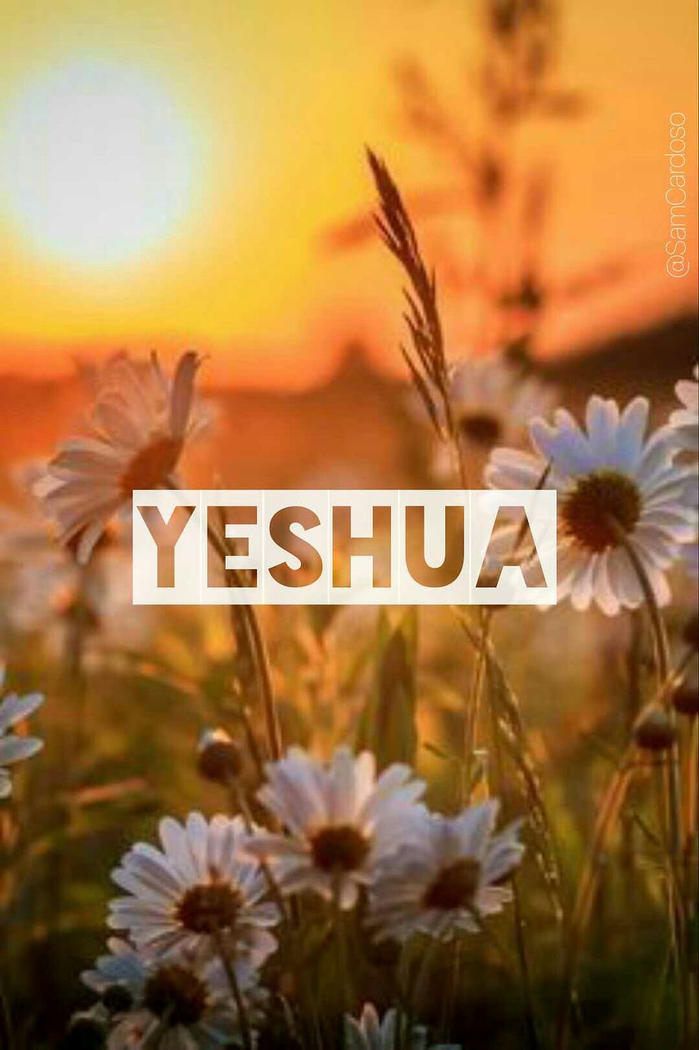 DEUS