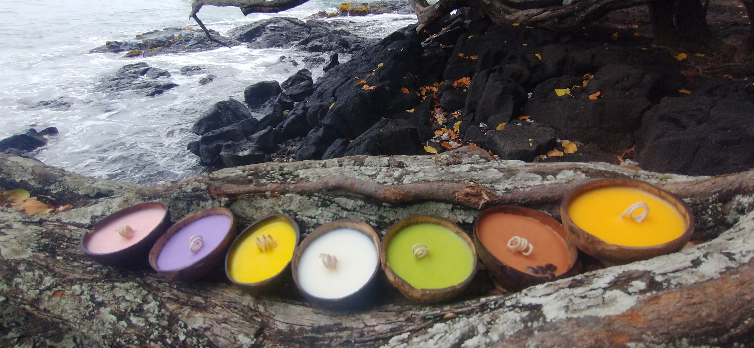Shell Smell Hawaii | candles| Smells in the Shells