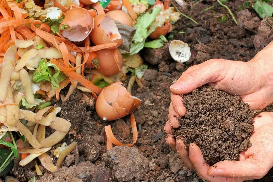 Webinar: Compost and Soil Health, A Deeper Dive