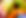 ABSTRACT NATURAL BACKGROUND.jpg