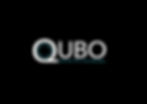 QUBO HGb_1.jpg
