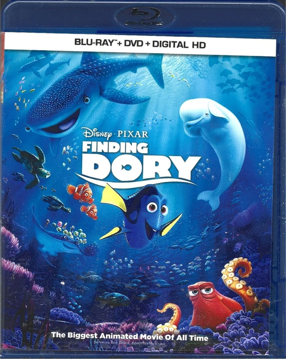 Finding Dory