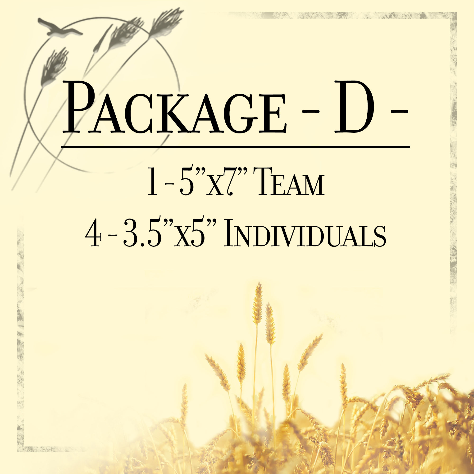 Package D