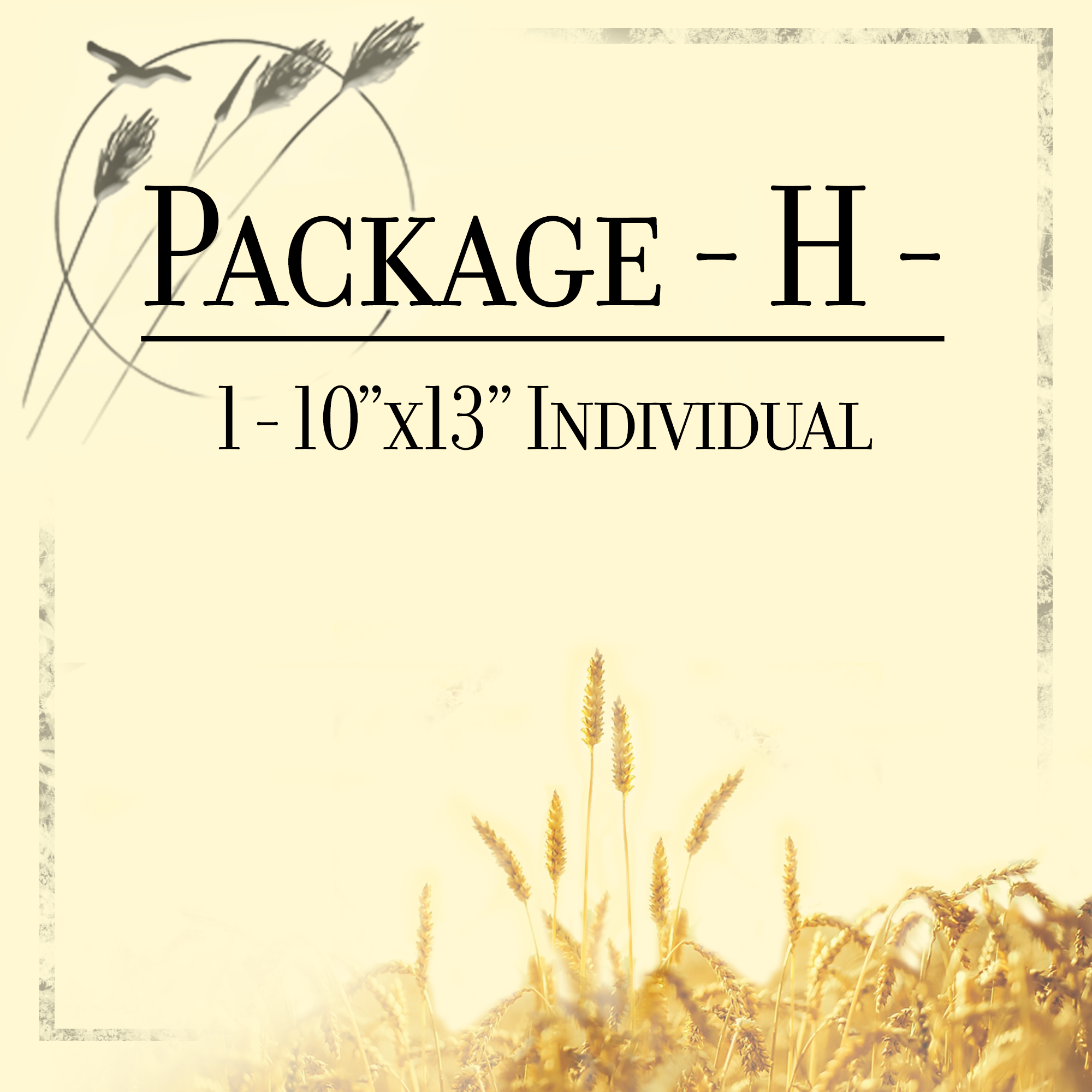 Package H