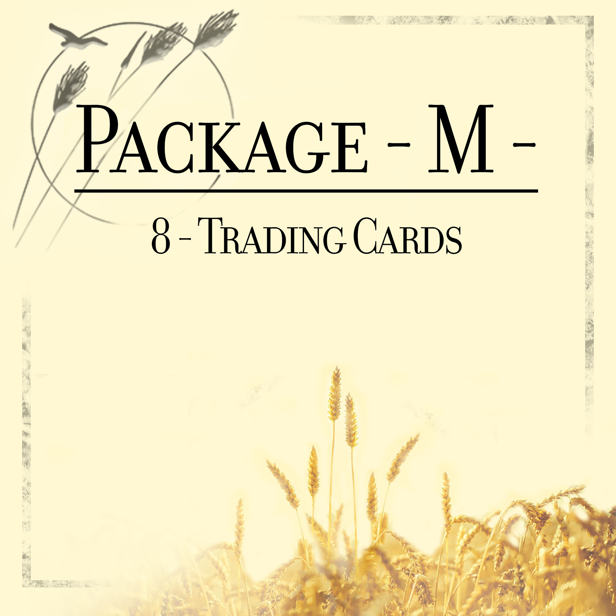 Package M