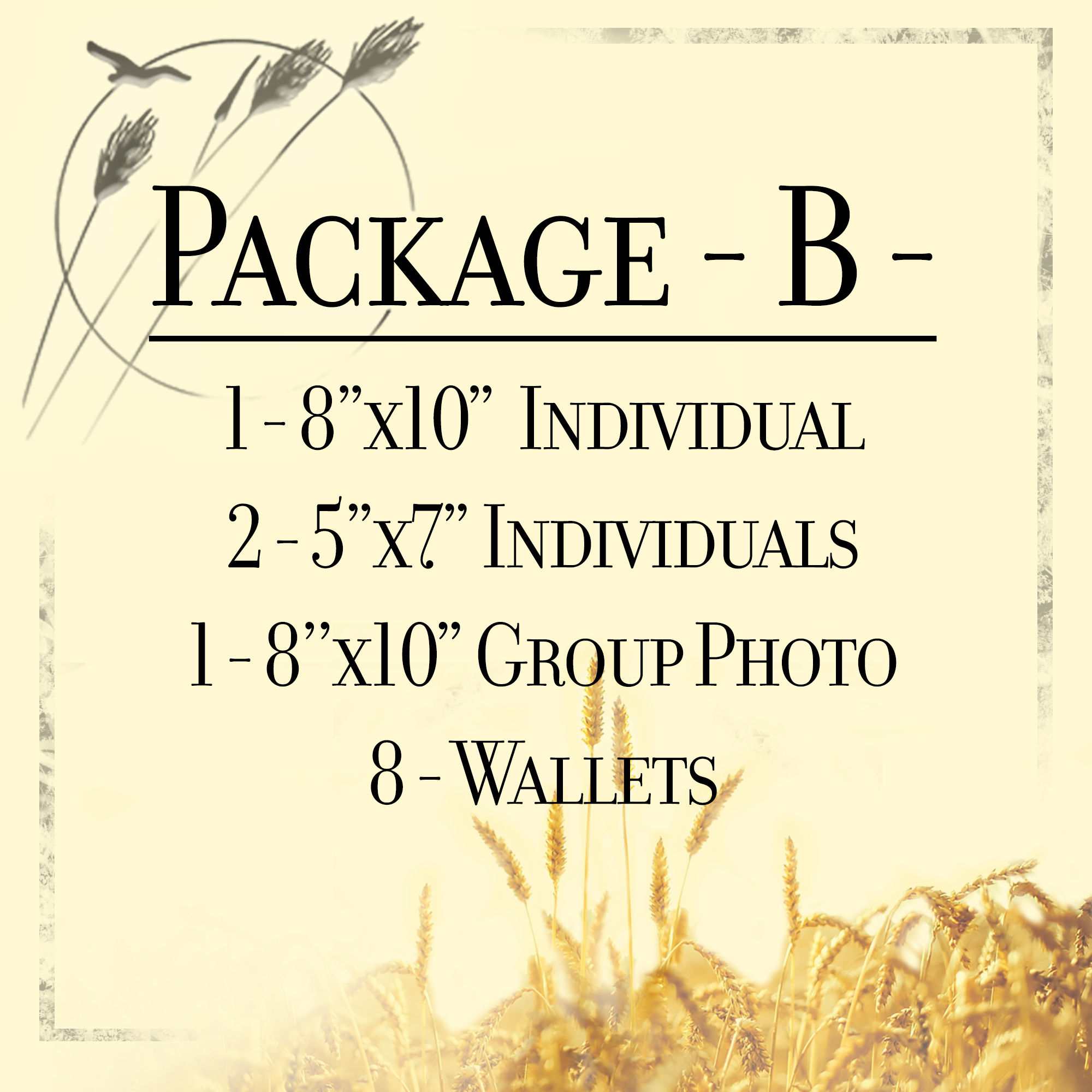 Package B