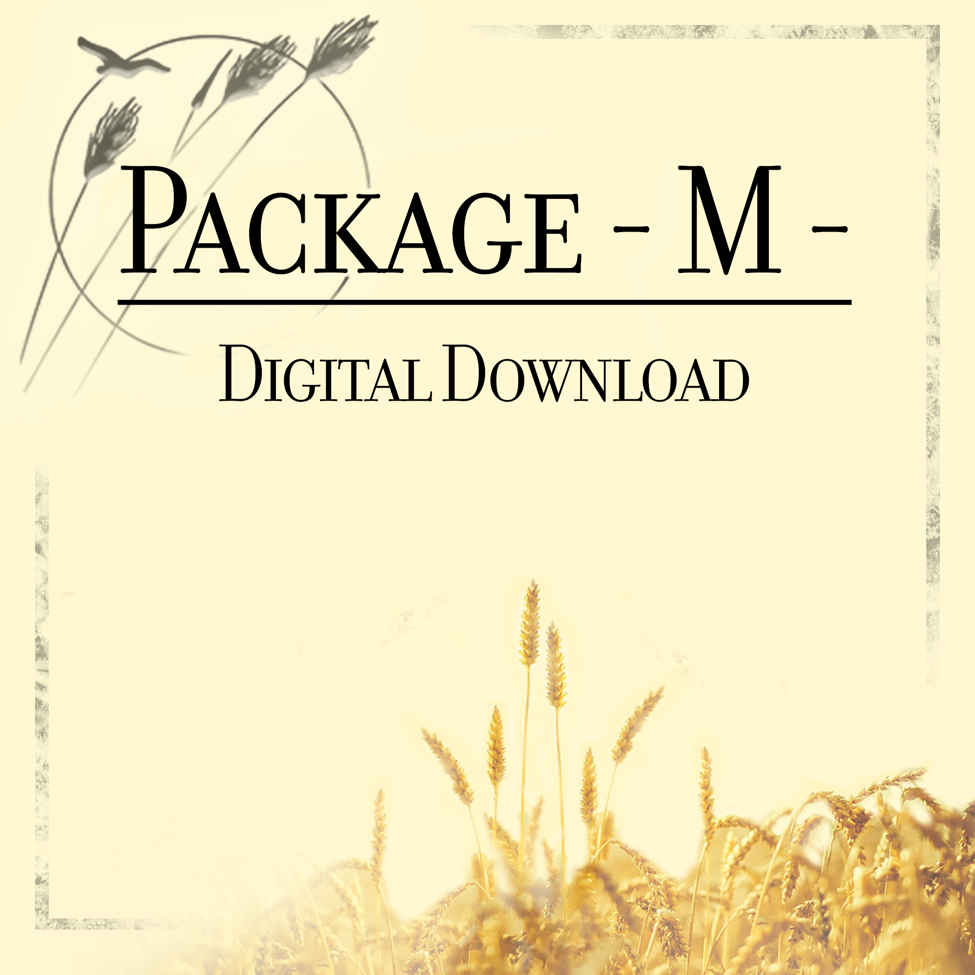 Package M
