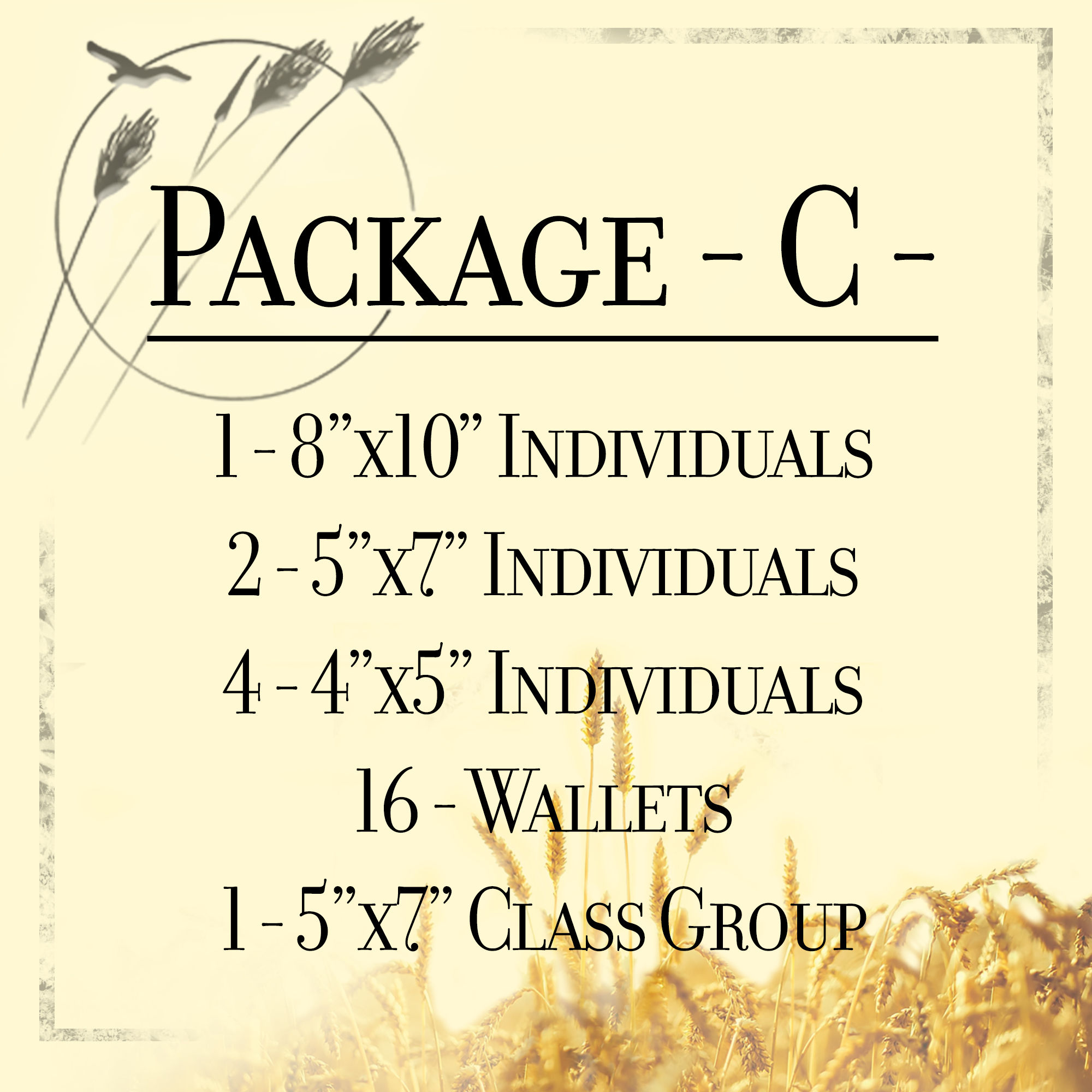 Package C