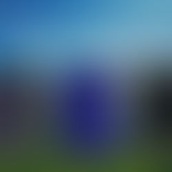 How many types of solar cells are there?