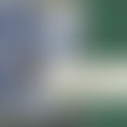 1 Megawatts Solar Rooftop, Zeon Advanced Polymix Co., Ltd. Project