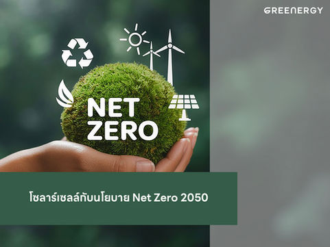 Net Zero