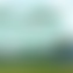 Global Interest in Clean Energy.