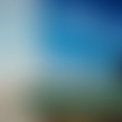 How do wind turbines generate electricity?