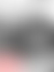 Oficina - Escavação das Palavras: A literatura na História e na psique dos sobreviventes das tragédias humanas