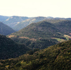 Paisagem de Nova Petrópolis com vales, morros e afloramentos rochosos formados por processos geológicos da Formação Serra Geral.