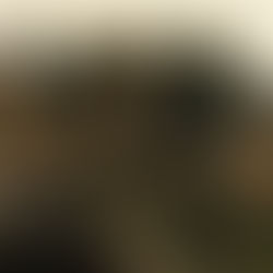 Emily McGuire and the Chamber of Secrets