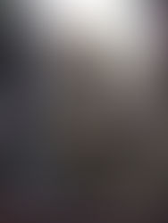 After All, This Was Vienna