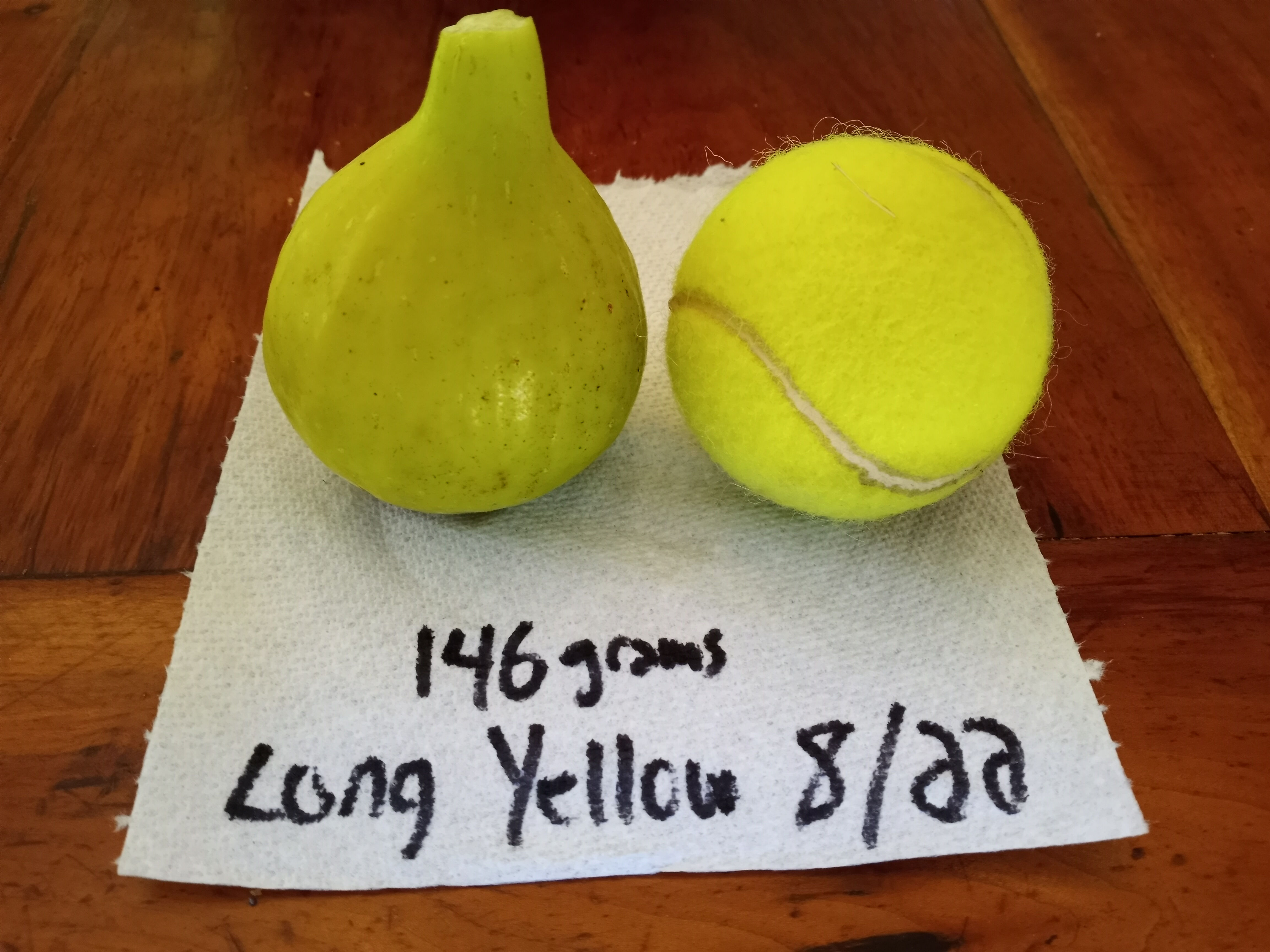 Yellow Long Neck - YLN