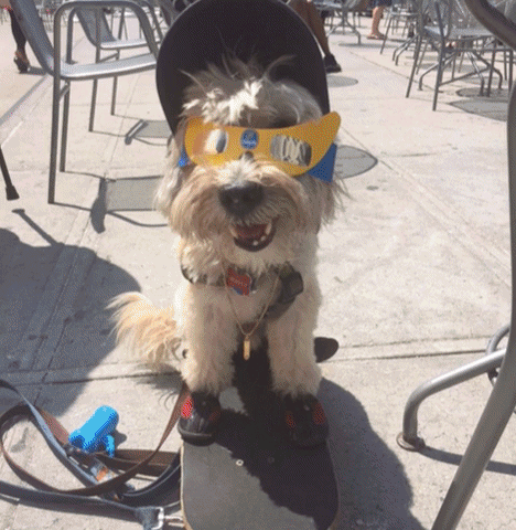 BSGlasses.gif