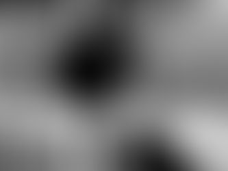 Jesse Owens tack runner