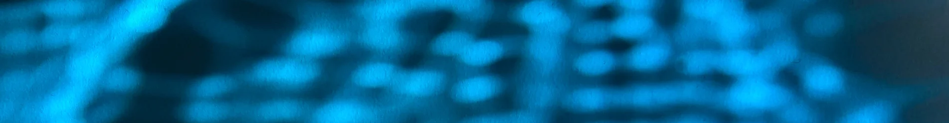 11062b_b4e9648cdd7e4baa965e728aee49184f_mv2.webp