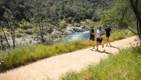 What is the impact of 100-mile training on health?