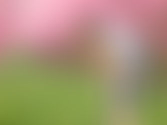 For runners deciding whether they should run with allergies can be complicated. This guide provides the answers.