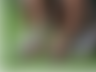 PCSsole Running Flexible Performance insoles are designed to provide advanced arch support.