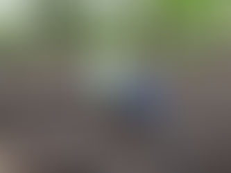 A testimonial for Squirrel's Nut Butter