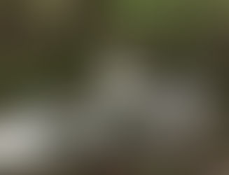 Benjamin Mazur, founder and president of Allegheny Trailrunners and co-founder of ESTEA, runs on part of the Eastern States 100 course.