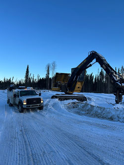 tiger cat 880 swing pump diagnoses