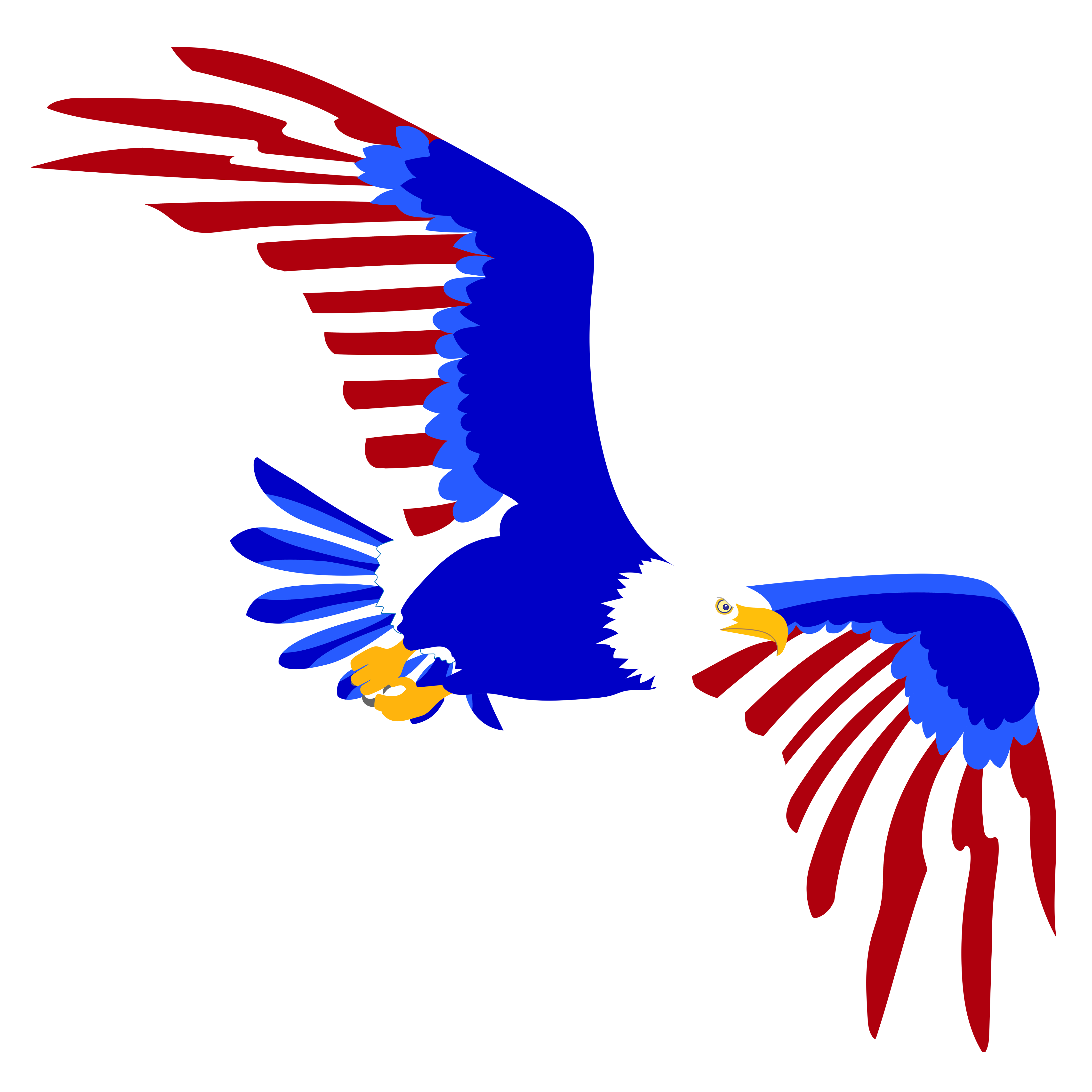 EAGLEFLAGCOLOR_CROPPED