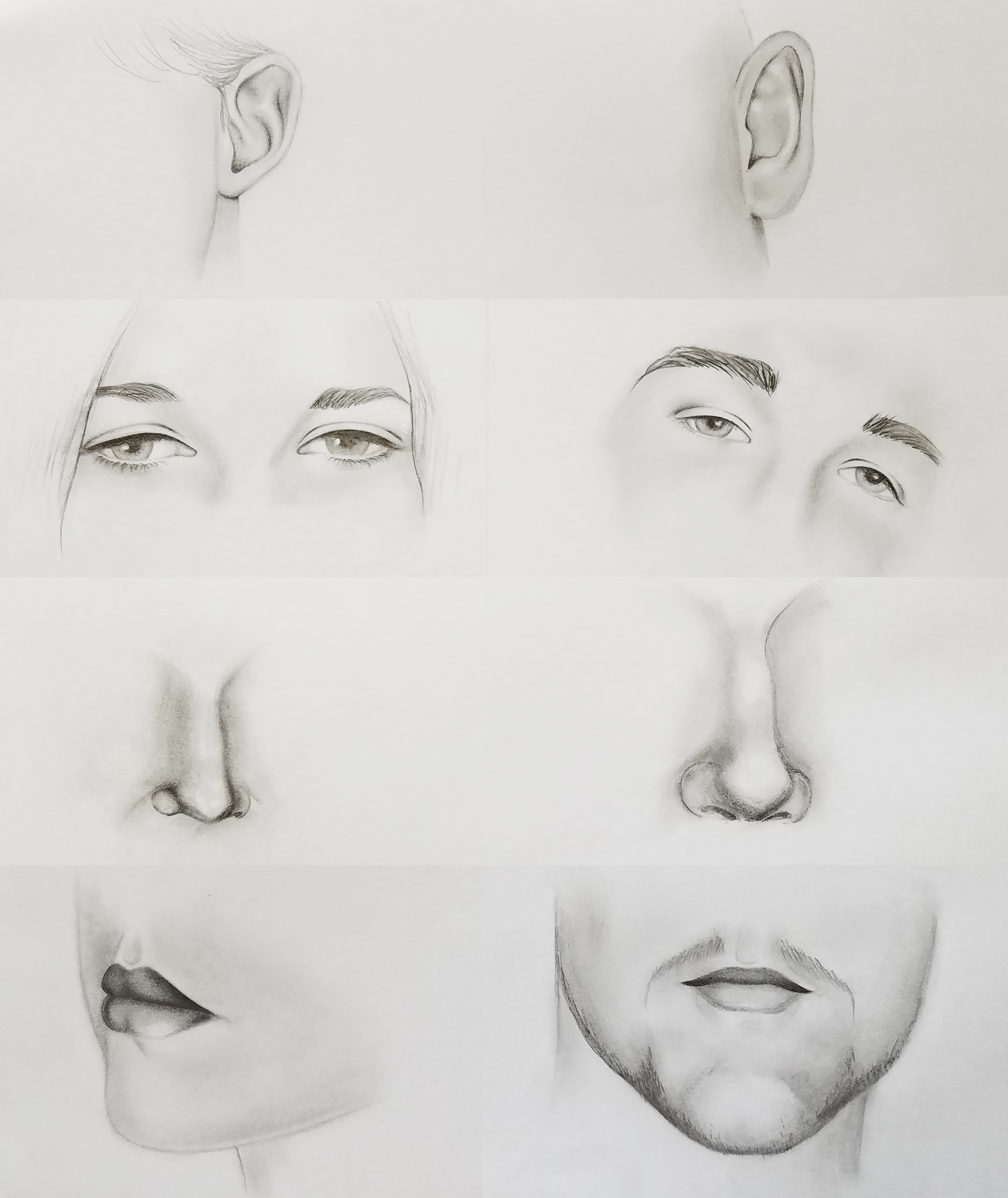 Face Studies