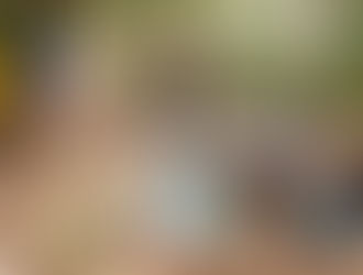 Haïti-Bénin : 2 pays unissent leurs voix pour faire reconnaître le Vodou comme patrimoine de l’humanité