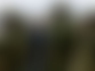 Haïti-USA-UN: Les Etats- Unis se montrent très embarrassés de la MMSS, et optent pour les Casques bleus en Haïti