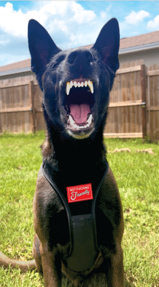 Thumbnail: 'Not Friendly' PVC Patch -  S&D